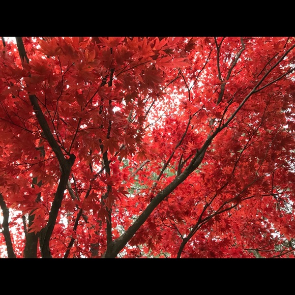 Meet your Posher, Jie - Picture 1 of 1